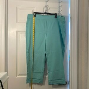NWOT Emaline  size 20w pull on pants in a seafoam green/blue.